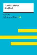 Blackbird von Matthias Brandt: Lektüreschlüssel mit Inhaltsangabe, Interpretation, Prüfungsaufgaben mit Lösungen, Lernglossar. (Reclam Lektüreschlüssel XL)