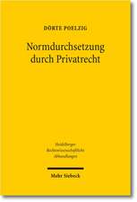 Normdurchsetzung Durch Privatrecht: Eine Analyse Anhand Von Entscheidungen Des Bundesverfassungsgerichts, Des Eg