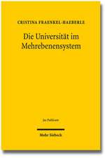 Die Universität im Mehrebenensystem