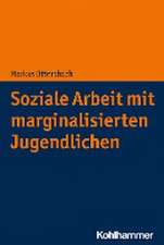 Soziale Arbeit mit marginalisierten Jugendlichen