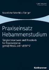 Praxiseinsatz Hebammenstudium