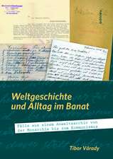 Weltgeschichte und Alltag im Banat