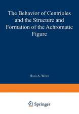 The Behavior of Centrioles and the Structure and Formation of the Achromatic Figure: Kern- und Zellteilung G der Kernteilungsmechanismus 1