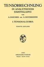 Grundzüge der Tensorrechnung in Analytischer Darstellung: In Drei Teilen I. Teil: Tensoralgebra