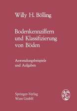 Bodenkennziffern und Klassifizierung von Böden: Anwendungsbeispiele und Aufgaben