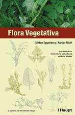 Flora Vegetativa