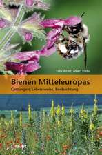 Bienen Mitteleuropas