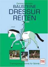 Bausteine Dressurreiten