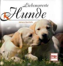 Liebenswerte Hunde