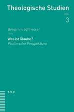 Was Ist Glaube?: Paulinische Perspektiven