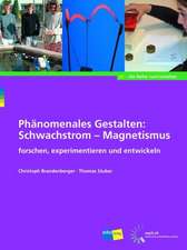 Phänomenales Gestalten: Schwachstrom - Magnetismus