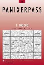 Swisstopo 1 : 100 000 Panixerpass