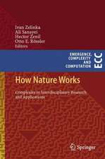 How Nature Works: Complexity in Interdisciplinary Research and Applications