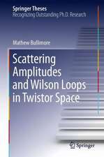 Scattering Amplitudes and Wilson Loops in Twistor Space