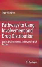 Pathways to Gang Involvement and Drug Distribution: Social, Environmental, and Psychological Factors