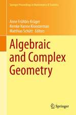 Algebraic and Complex Geometry: In Honour of Klaus Hulek's 60th Birthday