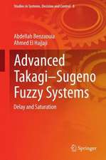 Advanced Takagi‒Sugeno Fuzzy Systems: Delay and Saturation