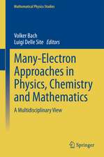 Many-Electron Approaches in Physics, Chemistry and Mathematics: A Multidisciplinary View