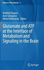 Glutamate and ATP at the Interface of Metabolism and Signaling in the Brain