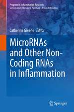 MicroRNAs and Other Non-Coding RNAs in Inflammation