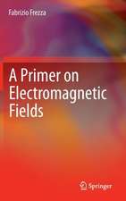 A Primer on Electromagnetic Fields