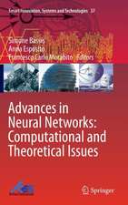 Advances in Neural Networks: Computational and Theoretical Issues