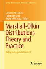 Marshall Olkin Distributions - Advances in Theory and Applications