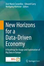 New Horizons for a Data-Driven Economy: A Roadmap for Usage and Exploitation of Big Data in Europe