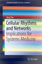 Cellular Rhythms and Networks