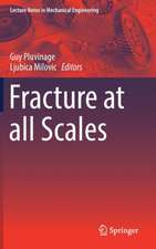 Fracture at all Scales