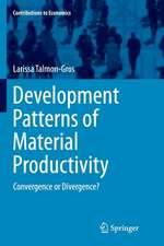 Development Patterns of Material Productivity: Convergence or Divergence?