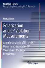 Polarization and CP Violation Measurements: Angular Analysis of B -> ?K* Decays and Search for CP Violation at the Belle Experiment