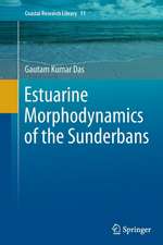 Estuarine Morphodynamics of the Sunderbans