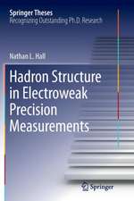 Hadron Structure in Electroweak Precision Measurements