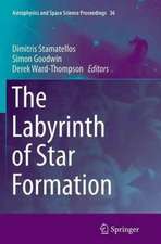 The Labyrinth of Star Formation