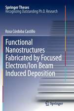 Functional Nanostructures Fabricated by Focused Electron/Ion Beam Induced Deposition