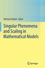 Singular Phenomena and Scaling in Mathematical Models