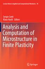 Analysis and Computation of Microstructure in Finite Plasticity