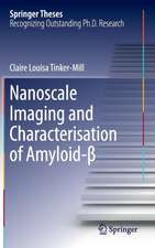 Nanoscale Imaging and Characterisation of Amyloid-β