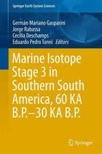 Marine Isotope Stage 3 in Southern South America, 60 KA B.P.-30 KA B.P.