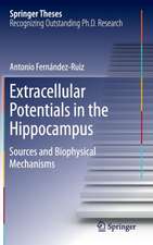 Extracellular Potentials in the Hippocampus: Sources and Biophysical Mechanisms