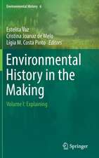 Environmental History in the Making: Volume I: Explaining