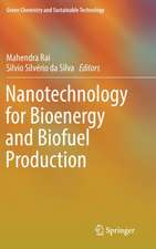 Nanotechnology for Bioenergy and Biofuel Production