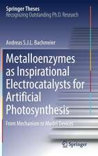 Metalloenzymes as Inspirational Electrocatalysts for Artificial Photosynthesis