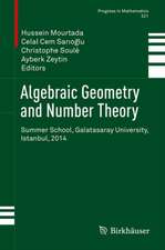 Algebraic Geometry and Number Theory: Summer School, Galatasaray University, Istanbul, 2014