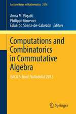 Computations and Combinatorics in Commutative Algebra: EACA School, Valladolid 2013