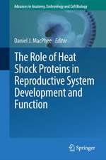 The Role of Heat Shock Proteins in Reproductive System Development and Function