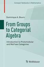 From Groups to Categorial Algebra: Introduction to Protomodular and Mal’tsev Categories