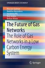 The Future of Gas Networks: The Role of Gas Networks in a Low Carbon Energy System