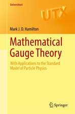 Mathematical Gauge Theory: With Applications to the Standard Model of Particle Physics